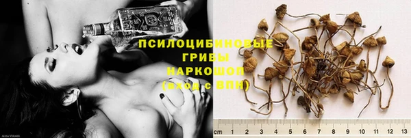 синтетический гашиш Новодвинск