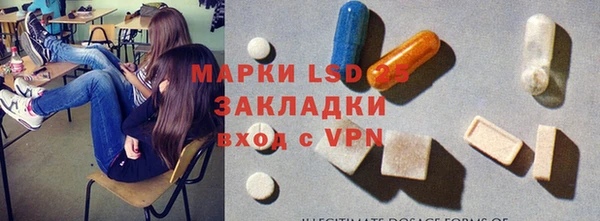 стафф Арсеньев