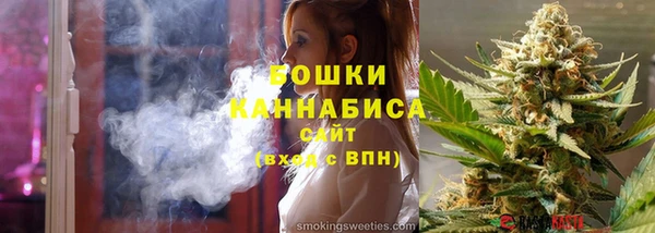 сатива Армянск